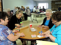 LT Hospice Auxiliary Card Party and Lunch