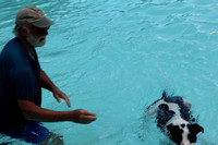 Dog Days of Summer 2023 at Druid Hills Pool