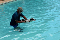 Dog Days of Summer 2023 at Druid Hills Pool